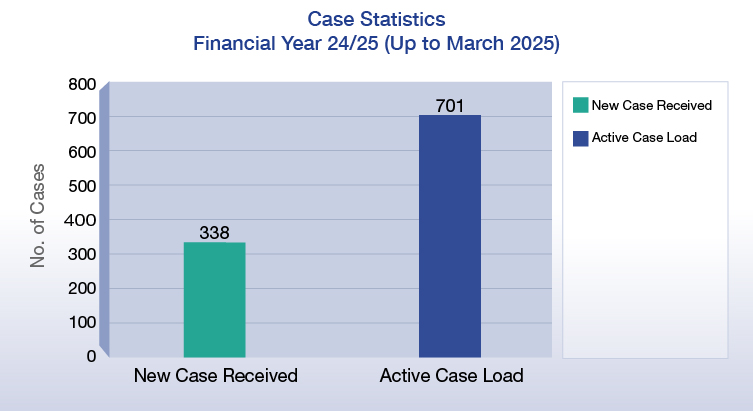 Case Statistics Financial Year 24/25 (Up to March 2025)